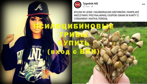 первитин Абинск