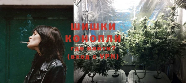 амф Осинники